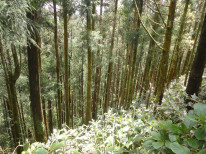 original Wanderung Lagoa Cete Cidades 5 