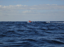 original Wahlbeobachtung 6 