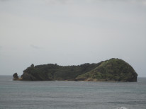 original Wahlbeobachtung 5 