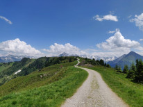 original IMG-20190702-WA0004