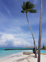 original 20210927 065215