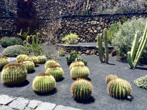 original 13232887 1279619172053027 6672699276612531715 n