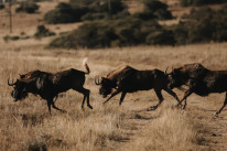 original Foto 08 05 23 15 12 21