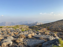 original IMG 0616