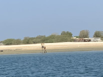 original IMG 0655