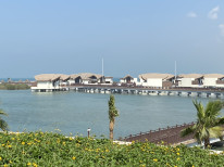 original IMG 0684