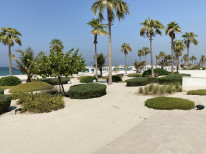 original IMG 0797