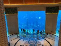 original IMG 0959