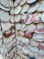 original 8513a047-afb8-406b-86b3-84917074da0e