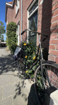 original 10 Impressionen Philips Dorp