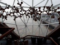 original 20190127 155236 - Kopie