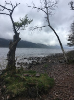 original Schottland 2