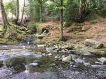 original Irland 3