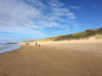 original Irland 9