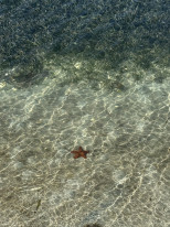 original Strand 3