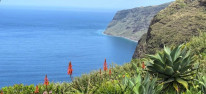 original IMG-20250807-WA0018
