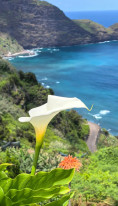 original IMG-20250807-WA0035
