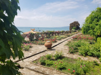 original IMG-20190604-WA0004