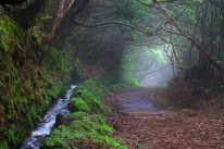 original pixabay madeira 2