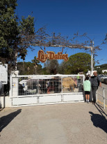 original WhatsApp Image 2026-04-10 at 21 35 54