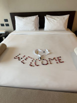 original WhatsApp Image 2026-04-23 at 16 50 06 3 