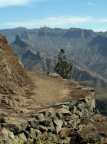 original pixabay roque-nublo
