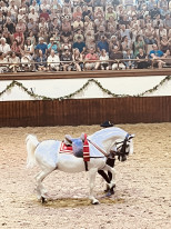 original IMG 0124 002 