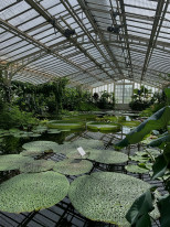 original Bilder M nchen 4