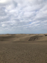 original WhatsApp Image 2023-06-24 at 19 07 24 6