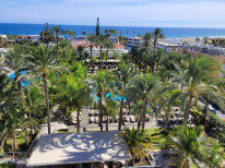 original ROS-WhatsApp Image 2024-10-09 at 14 11 29