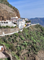 original ROS-WhatsApp Image 2024-10-09 at 14 11 28-1