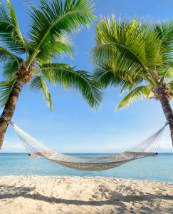 Haengematte unter Palmen Haengematte unter Palmen