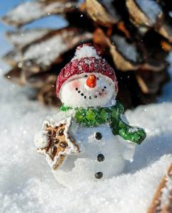 Schneemann Schneemann