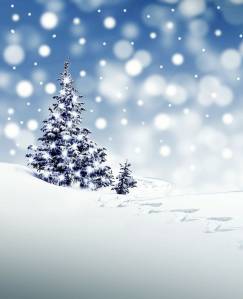 weihnachten weihnachten