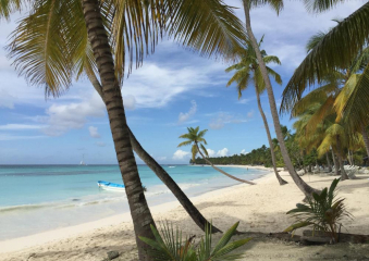 Bild Urlaub in der Dominikanischen Republik Reisebericht