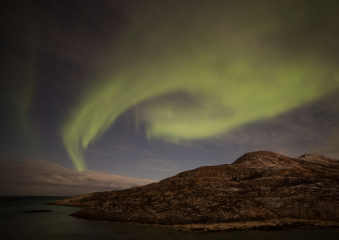 Bild Nordlichter und Walbeobachtung in Tromsö Reisebericht