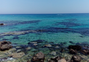Bild Zypern - Die Insel der Aphrodite  Reisebericht
