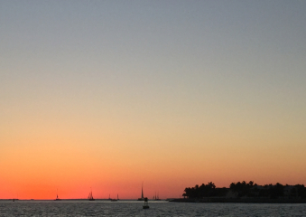 Bild Florida - Sunshine State Reisebericht