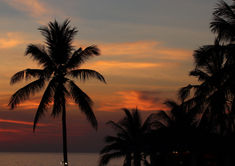 Bild Thailand - das Land des Lächelns Reisebericht