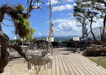 Bild Mallorca - Playa de Muro & Alcudia Reisebericht