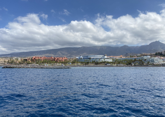 Bild Teneriffa Reisebericht