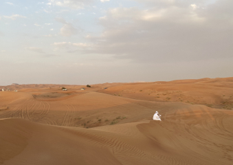 Bild Dubai und Ras Al Khaimah Reisebericht