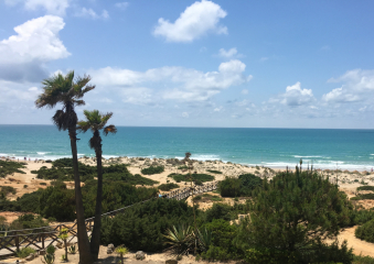 Bild Costa de la Luz - Küste des Lichts Reisebericht