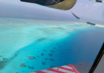 Bild Malediven - Traumurlaub im Indischen Ozean Reisebericht