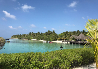 Bild Malediven - das Paradies im Indischen Ozean Reisebericht