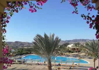 Bild Magic Life Kalawy Reisebericht