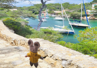 Bild Sonnige Entdeckungen auf Mallorca Reisebericht