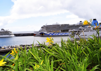 Bild Mein Hotel zeigt mir die Welt - Meine Kurzreise mit der AIDAprima Reisebericht