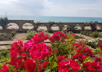 Bild Goldstrand - Die Perle der bulgarischen Schwarzmeerküste Reisebericht