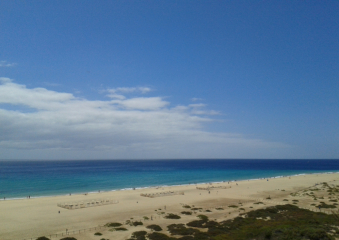 Bild Fuerteventura Reisebericht